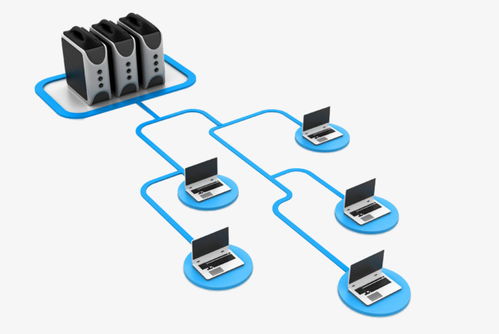 企業(yè)網絡維護外包 高效解決機房設備、局域網組建與共享修復問題